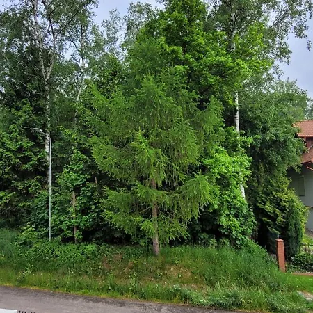 Appartamento Zielona Przystan